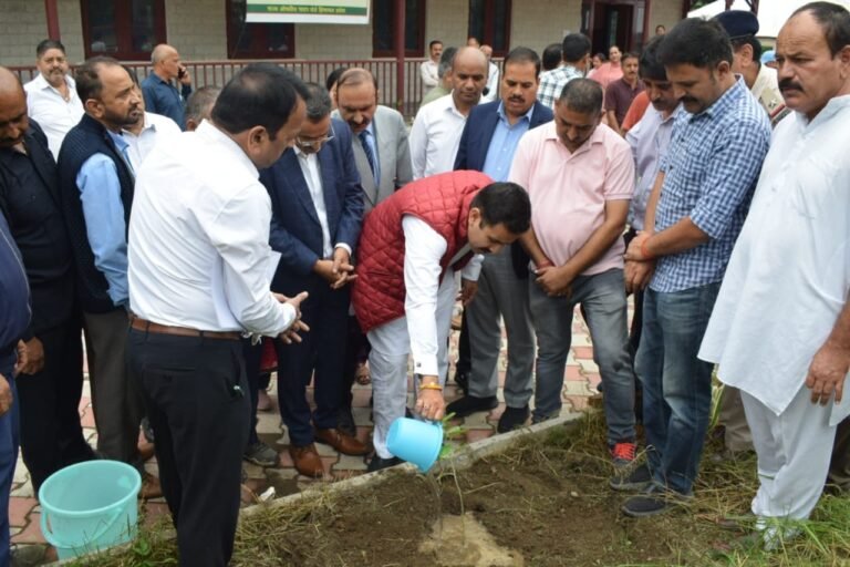 प्रदेश के हर क्षेत्र में रोपित किए जायेंगे अश्वगंधा, हरड़, बेहड़ा, आंवला सहित अन्य औषधीय पौधे – विक्रमादित्य सिंह