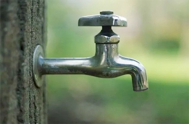 हैरान करने वाली घटना: संगरोह गांव में पूर्व सैनिक के नल से निकला मरा हुआ सांप