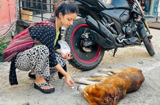 Kangra: बेजुबानों की सेवा में 20 साल से जुटी डॉक्टर स्मृति शर्मा