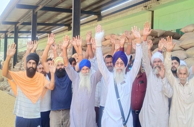 Solan: नालागढ़ की इंदिरा अनाज मंडी में धान न बिकने पर किसानों का प्रदर्शन
