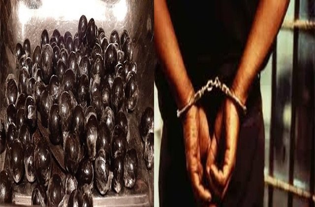 हिमाचल प्रदेश पुलिस ने 10 किलो चरस और 100 ग्राम चिट्टा पकड़ा, 7 आरोपी गिरफ्तार