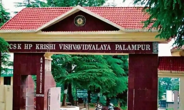 Palampur: ऑस्ट्रेलियाई विशेषज्ञों ने कृषि विश्वविद्यालय में पशुधन कार्यशाला का जिम्मा संभाला, पांच दिवसीय प्रशिक्षण शुरू
