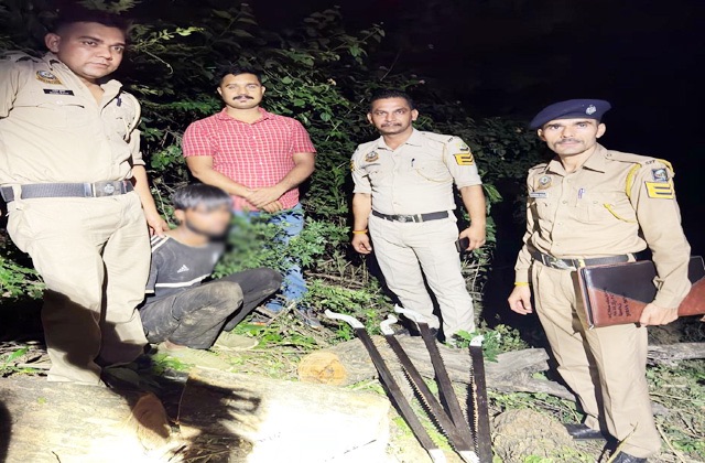 Kangra: डमटाल जंगल में खैर के पेड़ काटते हुए वन काटू पकड़ा गया