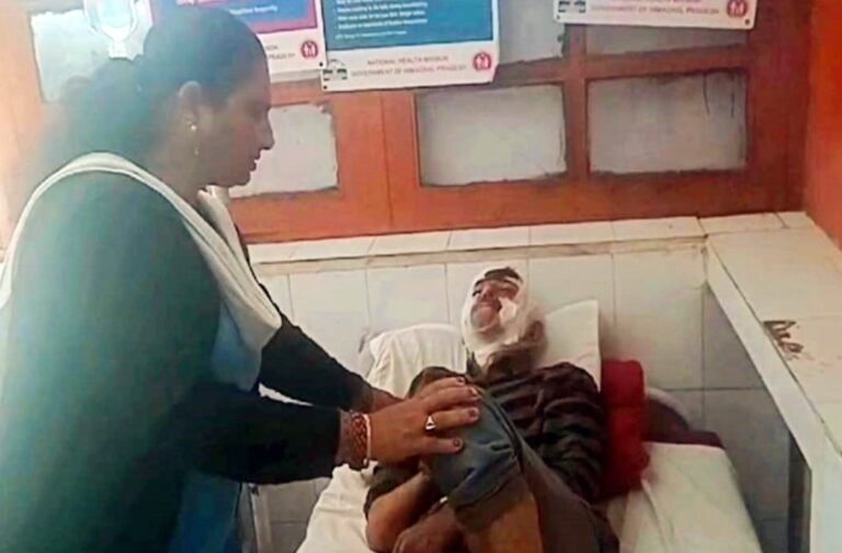 सिरमौर: चारा लाने गए 70 वर्षीय बुजुर्ग पर भालू ने किया हमला
