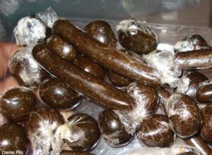 Big Drug Bust in Kangra: कांगड़ा पुलिस की बड़ी कार्रवाई, 4.40 किलो चरस के साथ कुल्लू के दो तस्कर गिरफ्तार