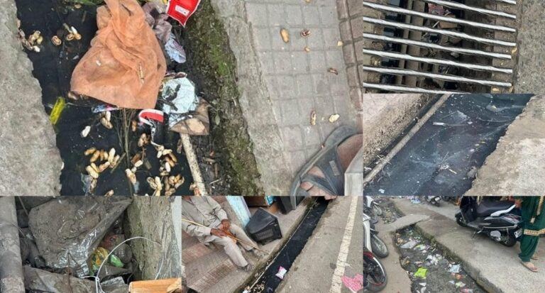 Himachal: जाहू बाज़ार में गंदगी भरी नालियों से बढ़ता मच्छरों का खतरा, व्यापारियों में आक्रोश