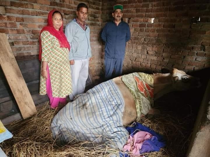 Shahpur: शाहपुर विधायक केवल सिंह पठानिया: असली जनसेवक जो मुश्किल घड़ी में हमेशा जनता के साथ