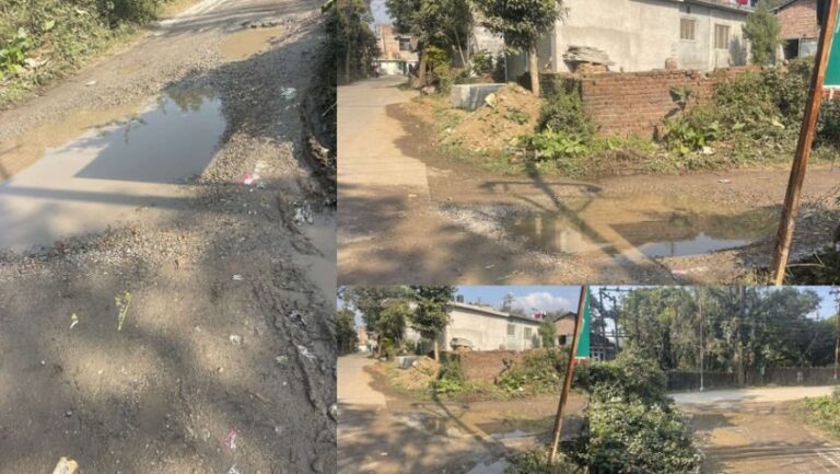 Shahpur: शाहपुर के हारा गांव की सड़क, 39 मील के पास, गड्ढों और असमान सतह के कारण तुरंत मरम्मत की मांग