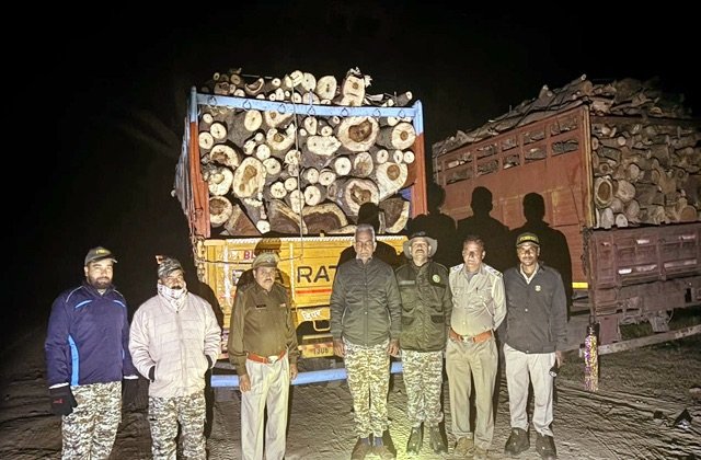 हिमाचल में वन माफिया पर बड़ी कार्रवाई, 2 ट्रक जब्त
