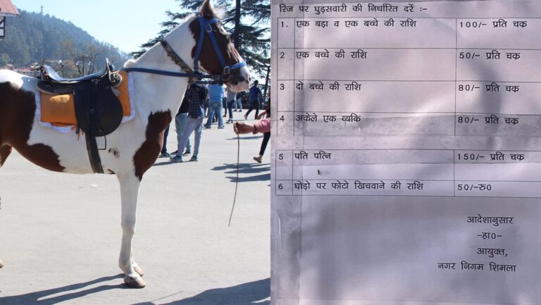 Shimla: शिमला रिज मैदान पर घुड़सवारी के दाम हुए तय, नगर निगम की नई दरें लागू