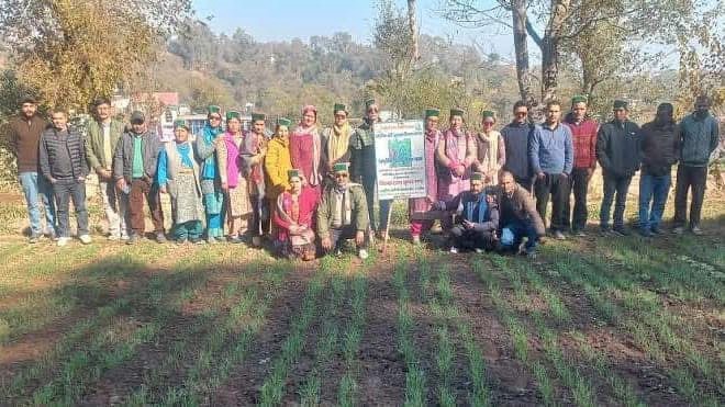 Kinnaur: किन्नौर के किसानों ने प्राकृतिक खेती का अनुभव किया – सीखें जीरो कॉस्ट खेती के लाभ Kinnaur: किन्नौर के किसानों ने प्राकृतिक खेती का अनुभव किया – सीखें जीरो कॉस्ट खेती के लाभ