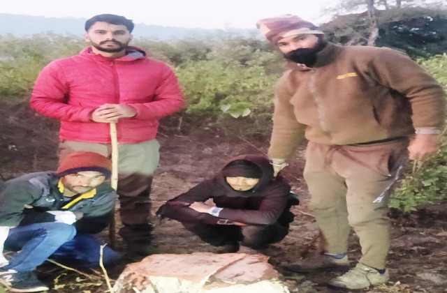 Sirmaur पांवटा साहिब: बहराल जंगल में वन विभाग ने दो तस्करों को पकड़ा, अवैध खैर कटान का पर्दाफाश Sirmaur पांवटा साहिब: बहराल जंगल में वन विभाग ने दो तस्करों को पकड़ा, अवैध खैर कटान का पर्दाफाश