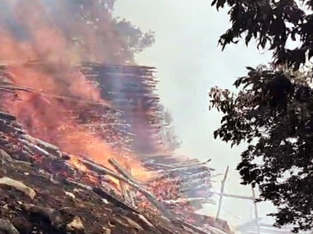 Kullu: कुल्लू के तराला जंगल में भीषण आग से लाखों की वन संपदा और वन्यजीव नष्ट