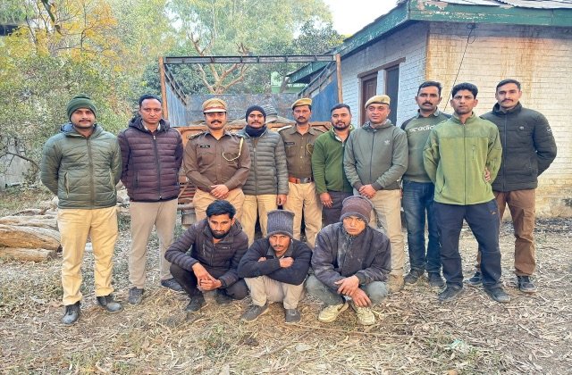 Kangra: वन विभाग ने खैर के मौछों से भरी पिकअप जीप पकड़ी, तीन गिरफ्तार