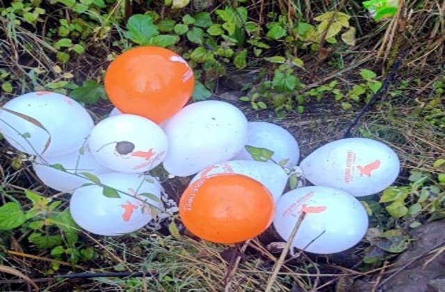 Bilaspur: बिलासपुर में सनसनी: जंगल में मिले पाकिस्तानी लेबल वाले गुब्बारे