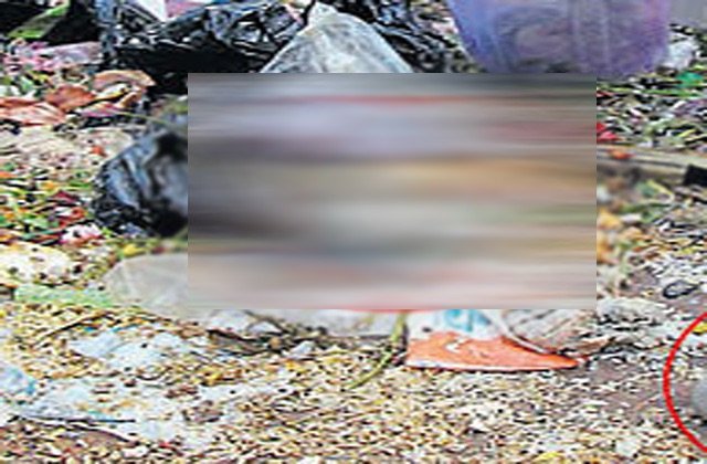 Sirmaur: घातक भ्रूण की खोज से क्षेत्र में मची सनसनी, पुलिस ने शुरू की जांच