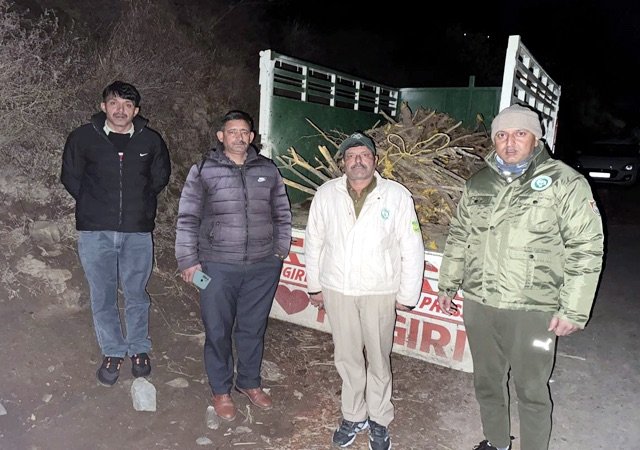 Chamba: वन विभाग की बड़ी कार्रवाई: अवैध रूप से कसमल की जड़ें ले जा रही पिकअप गाड़ी पकड़ी