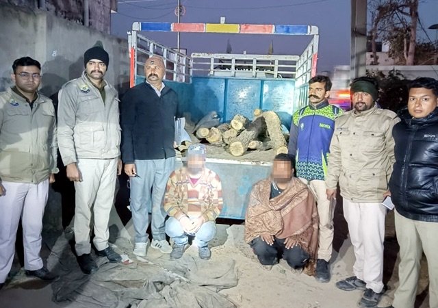 Solan: वन विभाग ने पकड़ी अवैध खैर की लकड़ी से भरी पिकअप, दो आरोपी गिरफ्तार