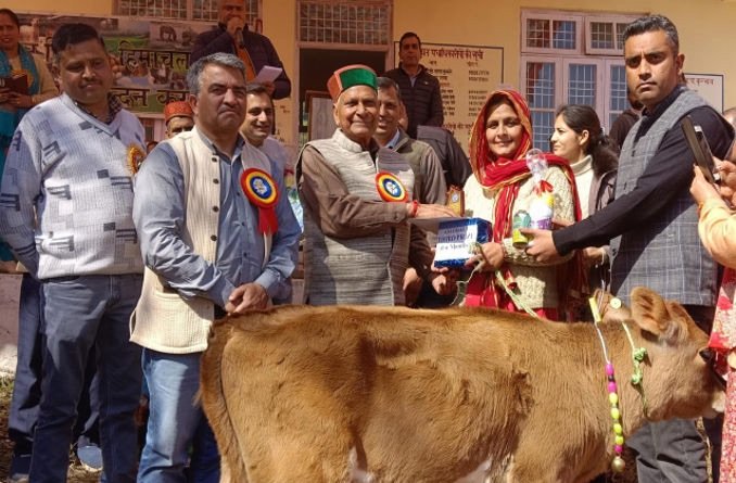 Kangra: बैजनाथ में बछड़ी रैली: पशुपालन विभाग ने किया आयोजन, विजेताओं को मिले पुरस्कार
