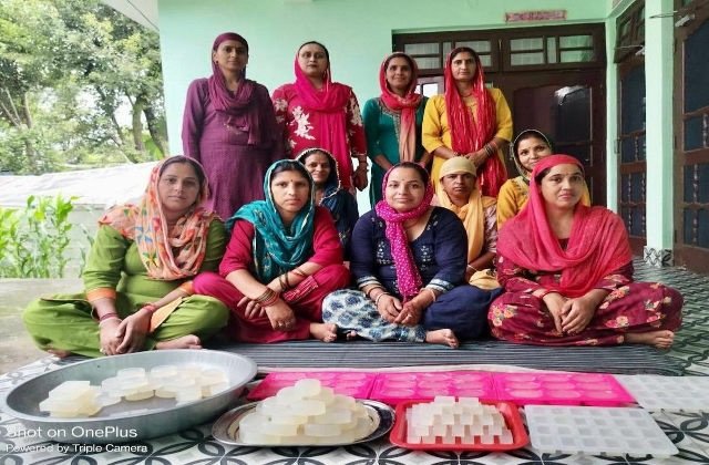 Kangra: अंतरराष्ट्रीय महिला दिवस विशेष: समाज और परिवार की सेहत का ख्याल रख रहीं आत्मनिर्भर महिलाएं