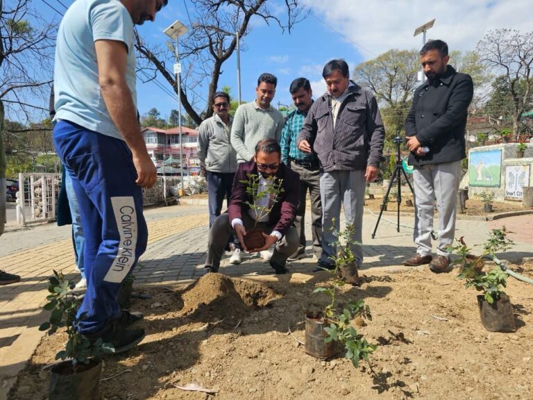 Kangra: ग्रीन धर्मशाला: “ग्रीन वारियर्स फॉर ग्रीन धर्मशाला” अभियान का शुभारंभ, नगर निगम आयुक्त ने किया पौधारोपण