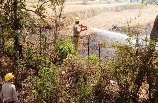 Bilaspur: झंडूता बाजार के पास बरसाती नाले में लगी भीषण आग, फायर ब्रिगेड ने समय रहते बचाई करोड़ों की संपत्ति