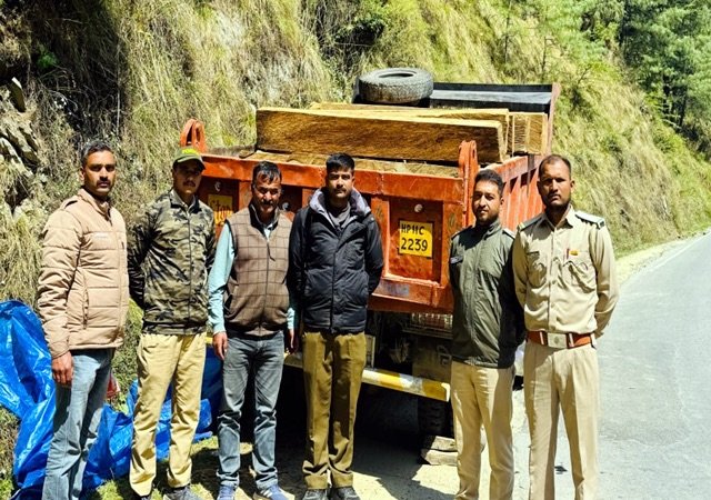 Mandi: सराज के कांडा में वन विभाग की बड़ी कार्रवाई, 50 अवैध देवदार स्लीपर जब्त, आरोपी फरार
