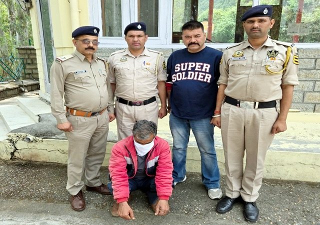 Solan: अर्की के कंधार गांव में अफीम की अवैध खेती का भंडाफोड़, 381 पौधे जब्त, एक गिरफ्तार