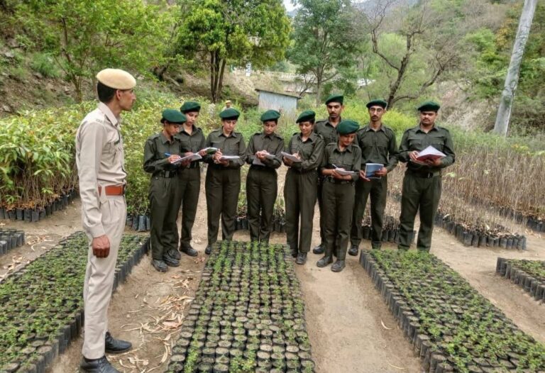 Mandi: जोगिंदर नगर वन मंडल में वन मित्रों के लिए पांच दिवसीय प्रशिक्षण कार्यक्रम हुआ सम्पन्न