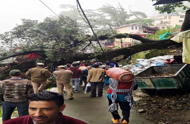 Shimla: शिमला में बारिश के बीच लक्कड़ बाजार में गिरा विशाल पेड़, दुकान को नुकसान, लोगों में मची अफरा-तफरी