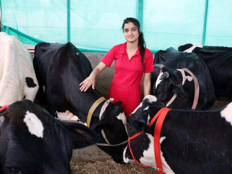 Mandi: हिमाचल की सकीना ठाकुर: एक शिक्षित युवती ने डेयरी फार्मिंग को बनाया सफलता की मिसाल