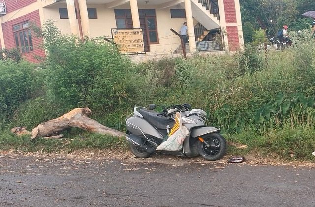 जोगिन्द्रनगर में चलती स्कूटी पर गिरा विशाल पेड़, युवक गंभीर रूप से घायल, टांडा रेफर