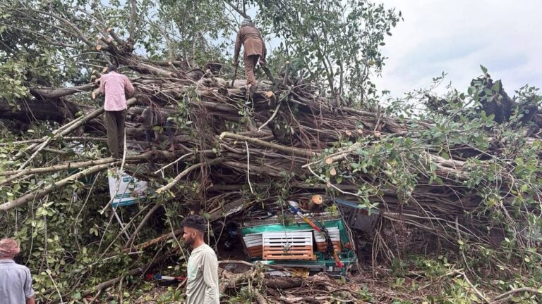 Kangra: नगरोटा बगवां की खोवा पंचायत में तूफान के दौरान ट्रक पर गिरा विशाल वटवृक्ष – राहत कार्य जारी, कई लोगों के दबे होने की आशंका