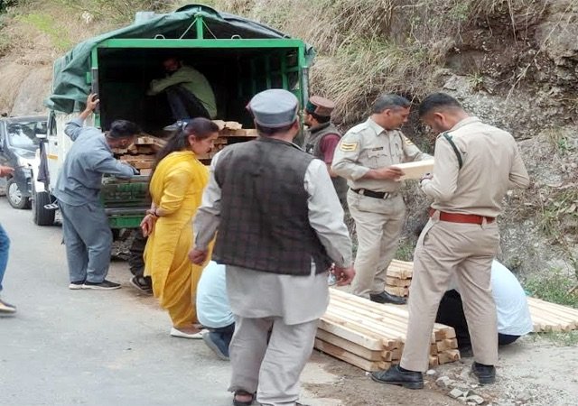Mandi: करसोग में वन विभाग की बड़ी कार्रवाई, लाखों की देवदार की अवैध लकड़ी जब्त