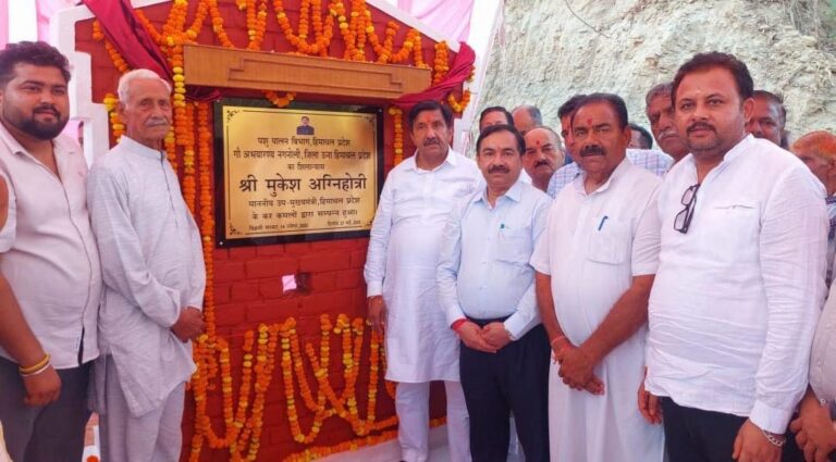 Una: हिमाचल के पहले आधुनिक गौ अभयारण्य का नगनोली में शिलान्यास, 500 गौवंश की होगी सुविधा