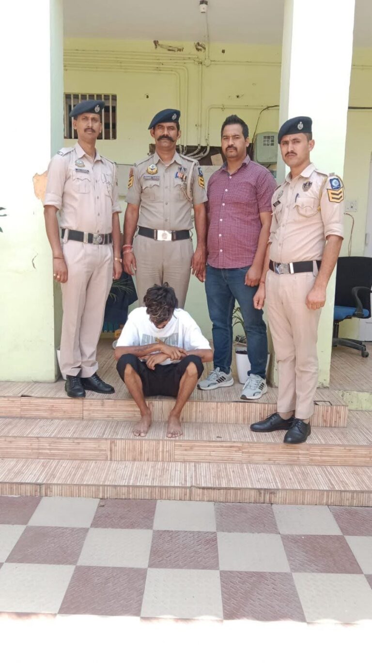 Solan: चोरी की पिकअप और लहसुन के 15 कट्टे चंडीगढ़ से बरामद, आरोपी कसौली से गिरफ्तार