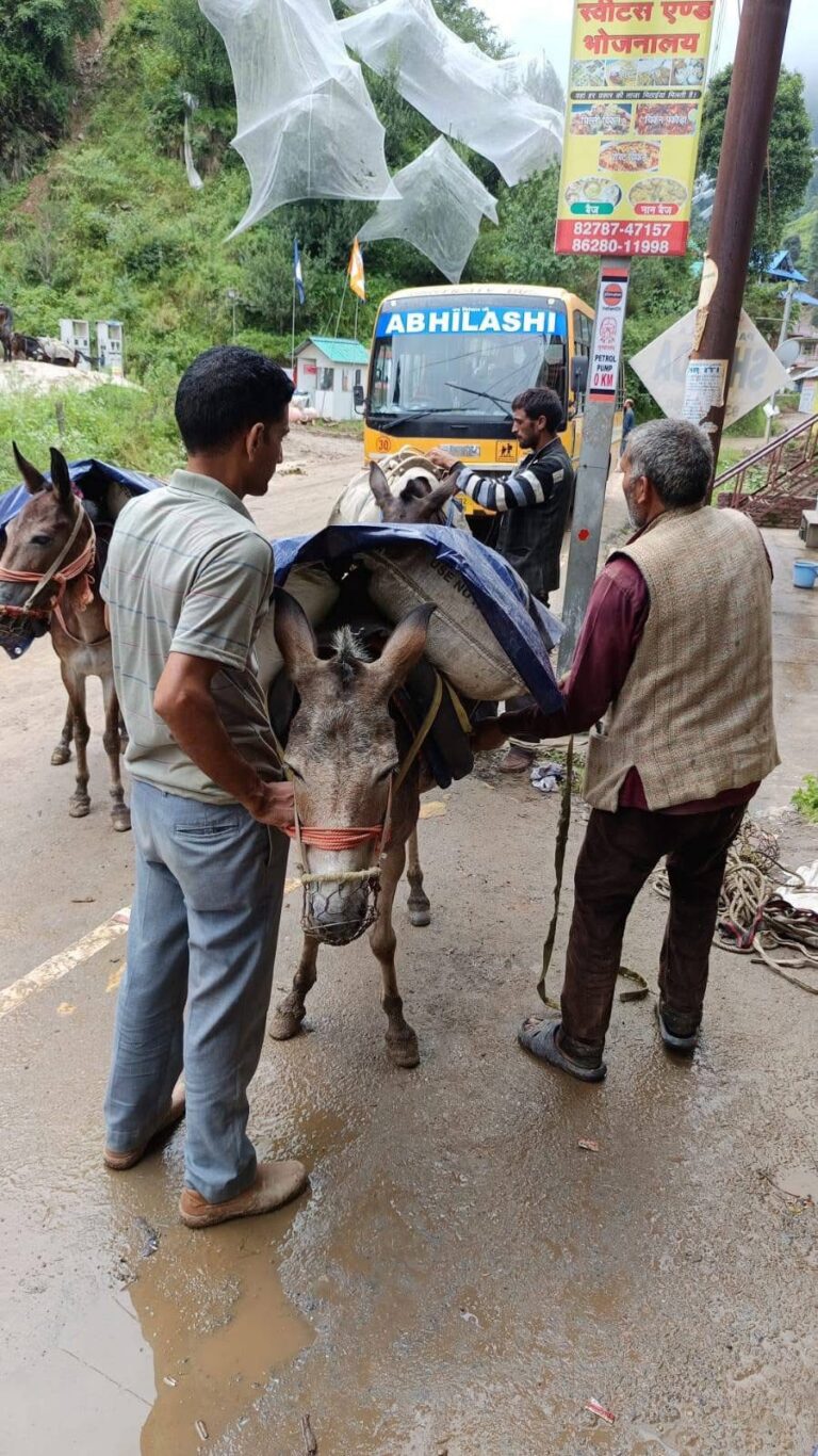 Mandi: सराज में राहत की रोशनी: दुर्गम इलाकों तक पहुंची मदद, जज़्बे को सलाम Mandi: सराज में राहत की रोशनी: दुर्गम इलाकों तक पहुंची मदद, जज़्बे को सलाम