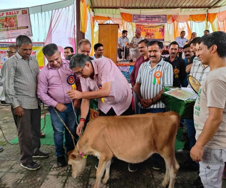 Kangra: पशुपालकों की आमदनी बढ़ाने को सरकार प्रतिबद्ध: कलूंड में हुई काफ रैली में आशीष बुटेल ने बांटे पुरस्कार