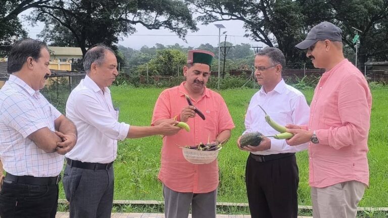 Kangra: प्राकृतिक खेती के लिए विधायक केवल सिंह पठानिया का जमीनी संकल्प – वैज्ञानिकों संग खेतों में मंथन, किसानों को दी आत्मनिर्भर बनने की प्रेरणा