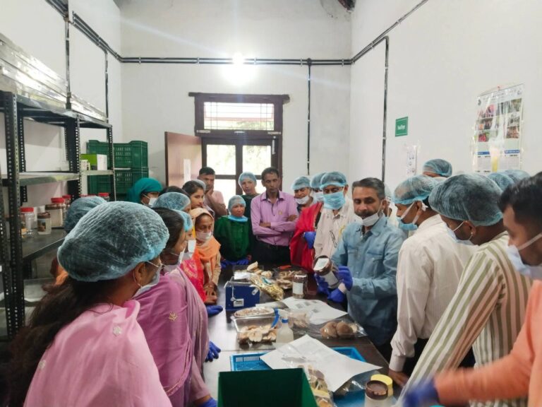 Kangra: शिटाके मशरूम में कमाई का नया रास्ता: दो दिवसीय प्रशिक्षण में 23 किसानों ने सीखी प्रोसेसिंग तकनीक