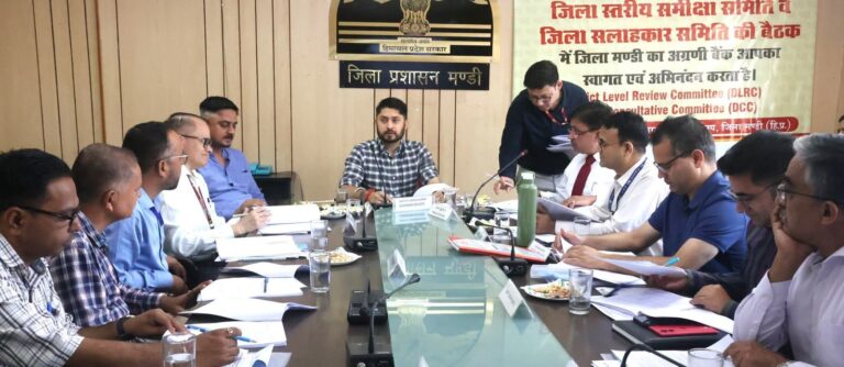 Mandi: मंडी में उपायुक्त अपूर्व देवगन ने बैंक शिक्षा ऋण और सामाजिक सुरक्षा कार्यक्रमों पर जोर दिया