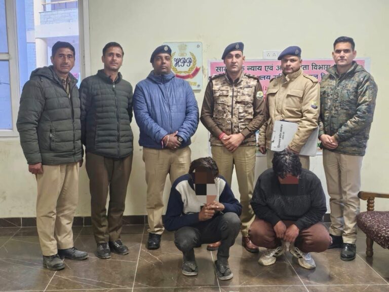 Kullu: मनाली में बड़ा खुलासा: पराली के नीचे छिपाकर ले जा रहे थे 11 गौवंश, पुलिस ने ट्रक पकड़ किया पर्दाफाश!
