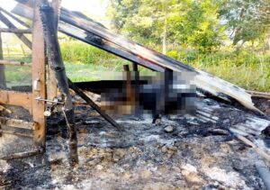 Kangra: कांगड़ा के पनापर गांव में गऊशाला में लगी आग, 7 माह की गाय जिंदा जली, दूसरी झुलसी