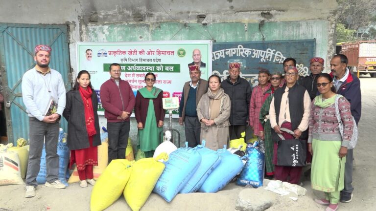 Kullu: कुल्लू में शुरू हुई मक्की की खरीद—इस बार कम रहेगा उत्पादन, लेकिन किसानों के लिए बड़ी खुशखबरी!