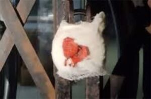 Solan: नालागढ़ में बड़ा खुलासा! बिना लाइसेंस चल रहा अवैध क्लीनिक सील, पुलिस की अचानक छापेमारी से पकड़ा गया पूरा खेल