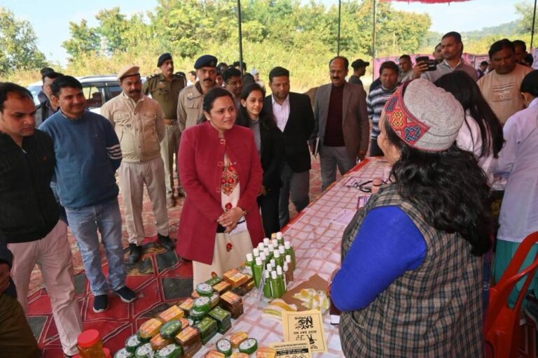 Kangra: डमटाल में लगा मेगा विधिक साक्षरता शिविर, नशे के खिलाफ एकजुट हुआ समाज