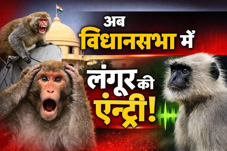 अब विधानसभा में गूंजेगी लंगूर की आवाज, बंदरों से निपटने के लिए PWD ने निकाला अनोखा टेंडर