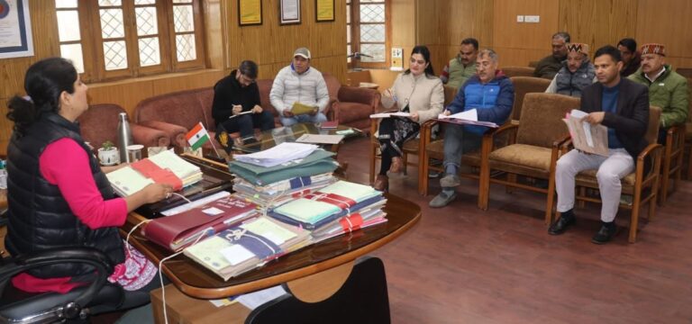 Kullu: कुल्लू में सड़क हादसों पर बड़ी कार्रवाई की तैयारी, ब्लैक स्पॉट्स पर लगेंगे कैमरे और ट्रैफिक कंट्रोल सिस्टम