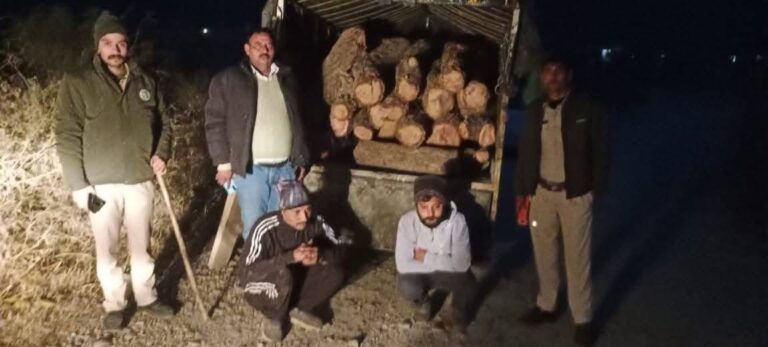 Kangra: रात के अंधेरे में वन माफिया पर शिकंजा, देहरा में खैर की लकड़ी ले जाती गाड़ी पकड़ी गई