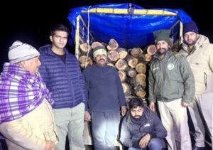 Sirmaur: सीमा पर वन माफिया की बड़ी साजिश नाकाम: कालाअम्ब में 12 खैर के पेड़ काटे, गिरोह का सरगना गिरफ्तार